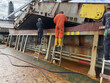 © Iryna - ship crew painting coaming of ship cargo holds. hatch covers opened by pyramid. team work. seafarers life.