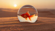 © bephoto - 夕方の砂漠の砂丘で金魚鉢の金魚が涼しげに泳ぐ風景