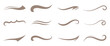 © RadheK  - Swoosh and swash typography tails shape. Underline retro swoop wave line for athletic tshirt. Vector strockes set. Vector black sport tails. Swoosh silhouette elements for baseball, football or athlet