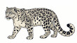 © Aef - Snow Leopard Wildlife Animal Vector Illustration