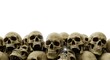 © IbragimovN - Eerie collection of human skulls against white background