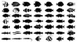 © Chroma Key  - Black and white fish illustration pack isolated on white background, Vector
