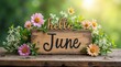 © Alex Pios - Hello June Background Banner. Rustic Wooden Sign Greeting June with Flowers and Green Background