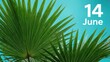 © Alex Pios - Vibrant green palm leaves against a bright turquoise background with the date 14 June.