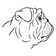 © Vexels - Elegant bulldog line art design