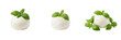 © new - Fresh White Mozzarella Cheese Ball Italian Dairy Burrata Gourmet Cooking Ingredient Isolated Transparent PNG Image