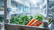 © A5 - Digital temperature sensor monitoring fresh kale, carrots, and tomatoes in a frosty cold storage warehouse at 1.5 degrees Celsius for food safety and cold chain management.