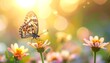 © Apel - A butterfly perches on a vibrant flower amidst a sunny garden