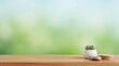 © Michelle - Minimalist wooden table with a succulent plant and natural decor against a soft, blurred green background.