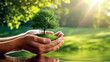 © Mst Rozina Pervin - Nurturing Life: A pair of hands cradles a small tree, symbolizing the profound care and commitment to environmental conservation, as sunlight gently bathes the scene.