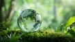 © Rehan - Transparent globe crystal on green moss with environmental sustainability concept