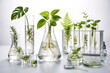 © Emin - Various plants showcased in clear glass lab vessels on a white studio backdrop