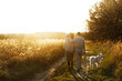 © sonyachny - Beautiful pregnant couple walking with dog in sunset light in autumn park. Parenthood. Stylish happy young parents, mom and dad, enjoying evening and relaxing with pet