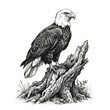 © Dwi - Detailed Black and White Illustration of a Bald Eagle Perched on a Gnarled Tree Stump