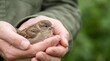 © Таня Андреева - Hands holding a small bird representing wildlife care and nature conservation.