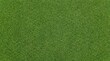 © God's blessing - Vibrant Green Grass Texture Background Seamless Natural Lawn.