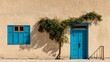 © Natadjiwa - A blue door and window on a beige stucco building with a vine.