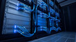 © Michelle - Wide photograph of server racks with blue network cables in a modern data center, highlighting digital infrastructure.