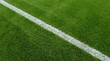 © AKASH - Close up view of a white painted boundary line on a vibrant green grass field surface for sports stadium pitch markings and outdoor athletic ground texture