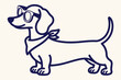 © Rahat Hossain - Cute dachshund dog wearing glasses and bandana