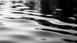 © 甫 杜 - Ripples on a water surface