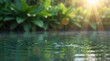 © jollier_ - Water drops create ripples on the surface of a pond surrounded by green plants during sunset