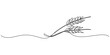© Vector Man - Ears of wheat one continuous line drawing .Fall harvest line art. Vector one line of spikelet . Thanksgiving symbol.Grain, One continuous line. Spikelet of wheat. Spikelet of a cereal plant. Flat.