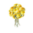 © Alala - bouquet of yellow, dandelion flowers isolated on white background