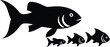 © Azan - Large Fish Swimming with Small Fishes Silhouette Isolated on White