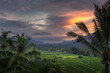 © AmazingAerialAgency - Aerial view of lush rice terraces nestled in a valley with palm trees and a misty mountain under a dramatic sunset sky in Sidemen, Bali, Indonesia.