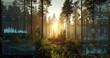 © mryanfahrudin1 - Sunlight streams through trees in a lush forest with digital interface overlays