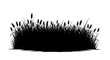 © Kartini - Wheat and grass field silhouette patch isolated on white background