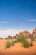 © Lars - Ein paar grüne Pflanzen als einzige Vegetation im Sand der Wüste Wadi Rum in Jordanien