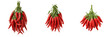 © kulan - Bunch of hot red chili peppers spicy food ingredient cayenne bunch market harvest organic