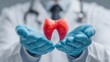 © BlackLion - Doctor holds a model of the thyroid gland during a medical demonstration in a clinic setting