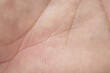 © banjongseal324 - Close-up of Human Palm Lines and Skin Texture,Macro shot of a human palm showing detailed skin texture, epidermal ridges, and palmistry lines. A high-resolution image capturing the organic patterns.