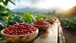 © Larisa AI - A beautiful display of freshly harvested coffee beans in wooden bowls set against a stunning sunset backdrop, illustrating the connection between nature and coffee culture.