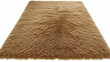 © HellouStock - Soft Shaggy Beige Area Rug Isolated on White Background