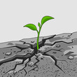 © maulana22 - Small green plant growing through cracked earth.