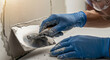 © Arra Vais - Worker hands in blue gloves plastering wall edges, applying fresh plaster with steel trowel to interior wall. Renovation project plastering wall edges demands precision for smooth finish.