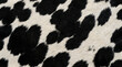 © PixelPulse Studio - Black and white cow hide pattern texture with realistic fur details