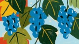 blue grape clusters with painterly mediterranean fruit market aesthetic