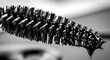 © Pur - Close up of a mascara wand with glossy black bristles and liquid
