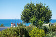 © Pierluigi - Garden with trees and plants on a hill overlooking the sea. The photo was taken near the seaside village of Rodia, Sicily, in Southern Italy