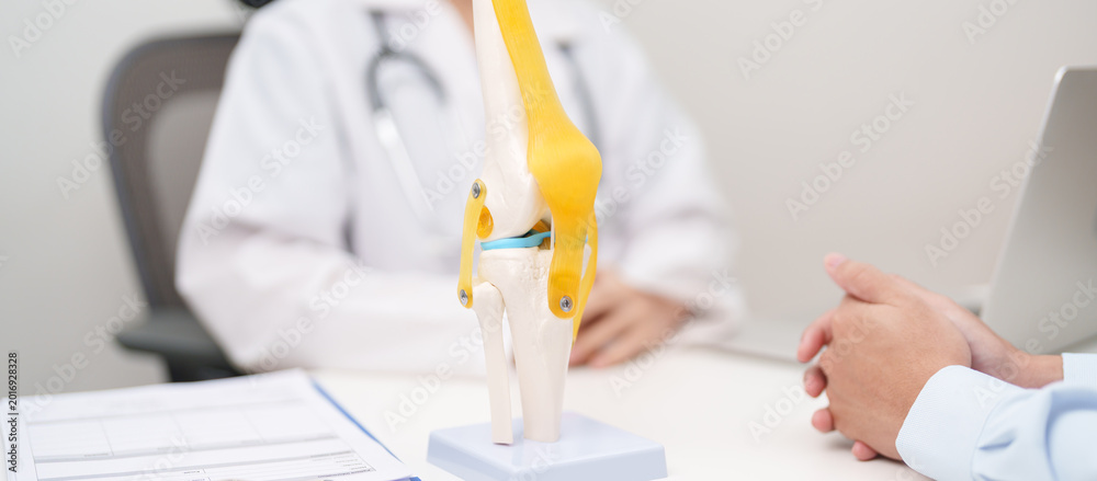 Pcl Human Doctor with Human Knee joint anatomy model. Osteoarthritis ...