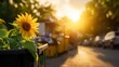 © Sirichat. Camphol - Sunflower's Golden Glow: Capturing the simple beauty of nature, a vibrant sunflower basks in the sun's warm embrace.