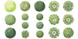 © ZenVectors - Set of top view green trees for architectural landscape design and garden site plans