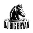 © Salirtun - Dynamic horse head with headphones rising from sound waves, embodying music and DJ culture