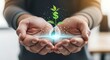 © mikael - Seed capital and startup investment. Cupped hands hold a hologram of a 'seed' from which a small dollar sign ($) sprouts, representing seed funding.
