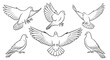 © Alfart - Set of Hand-Drawn Flying Pigeons, Black and White Line Art